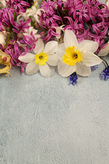 Beautiful flyer with white hyacinths, daffodils and blue muscari on blue concrete background. Abstract floral arrangement for screen and design template. Spring greeting card, 