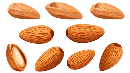 High-Quality Image of Almonds Isolated on White Background for Nutritional Content Illustrations