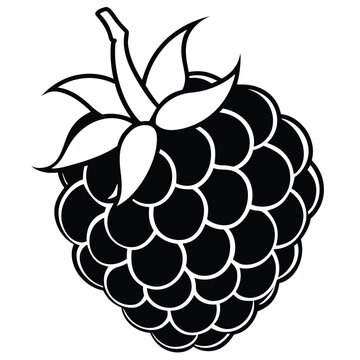 black and white blackberry fruit drawing clip art preview