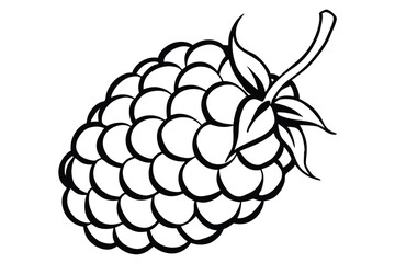 Stylized raspberry drawing features thick black outlines and simple leaf details against a white backdrop
