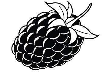 Symmetrical blackberry sketch showcases its distinct segments and organic leaves in bold monochrome