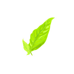 Obraz premium fresh green leaf icon with shoots without background