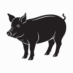 yorkshire pig vector art illustration