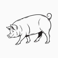 Fototapeta premium yorkshire pig vector art illustration