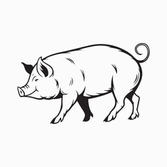 Fototapeta premium yorkshire pig vector art illustration