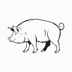 Fototapeta premium yorkshire pig vector art illustration