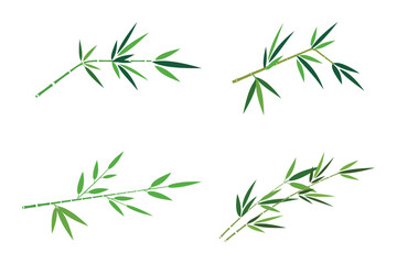 Bamboo branch and leaf set. vector bamboo leaves illustrations. 
