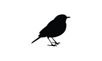 African yellow warbler bird Silhouette Design  And Vector Illustration. 