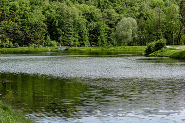 lake in the park