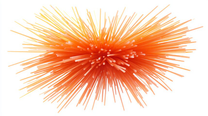 Obraz premium Spagetti-classic or with tomato souce.