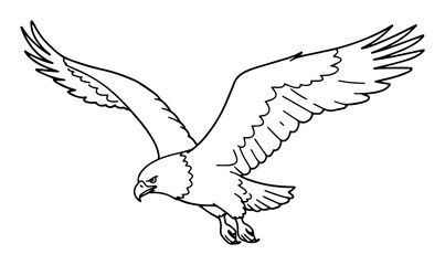 eagle in flight with open wings vector outline drawing
