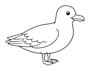 seagull standing coastal bird vector outline