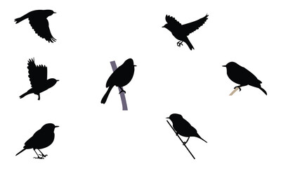 African yellow warbler bird Silhouette Design  And Vector Illustration. 