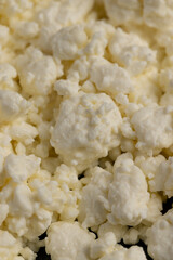 lumps of freshly made fermented milk product cottage cheese