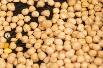 seeds floating underwater for cooking porridge, poured into the water