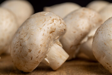 edible champignons unpeeled from the ground, preparation of the harvested mushroom champignons for cooking, side view