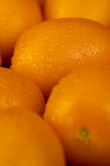 wet ripe orange tomatoes that are on the table, clean washed orange tomatoes