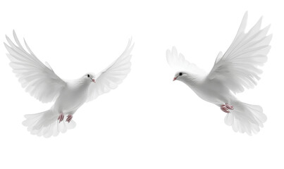 Obraz premium Two white doves flying, isolated on a transparent background. PNG file format