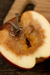 one rotting apple on the table