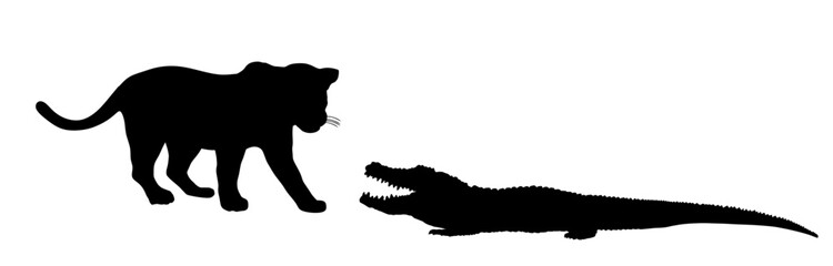 Jaguar attack alligator vector silhouette illustration isolated. Survivor watering place battle powerful reptile vs wild cat animal. Under water predator carnivore caiman lurking prey feline panther.