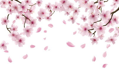  White background, pink sakura petals falling at the bottom of the frame, transparent PNG with a white border.  