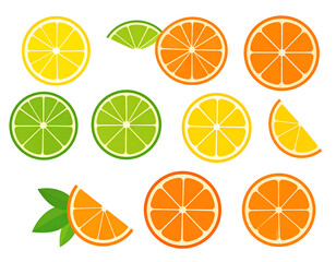 Citrus Fruit Slices