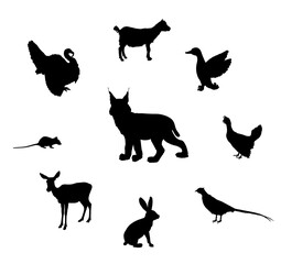 Cunning hungry lynx lurks prey vector silhouette isolated. Wild cat animal predator. Bobcat hunting prey farm poultry danger. Rabbit, rat, pheasant, grouse, fawn, duck, turkey, goatling, deer, goat.