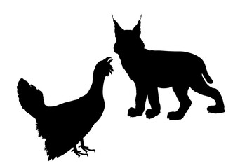 Cunning lynx hunter lurks a grouse vector silhouette isolated. Smart animal predator. Hungry bobcat hunting blackcock behind back. Forest wildlife food chain chantry poultry danger. Wild cat in hunt.