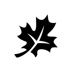 Illustration of a single black leaf with distinct veins and jagged edges on a white background image view