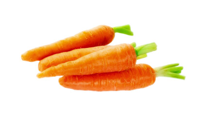 Three carrots with green leaves