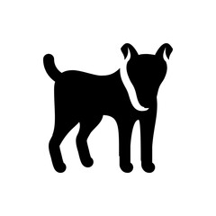 Silhouette of a dog standing with a curved tail and a white marking on its chest and head area