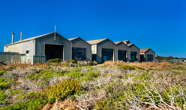 Coastal marine laboratory buildings near the Pacific Ocean in Santa Cruz, California, surrounded by coastal vegetation under a clear blue sky