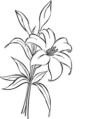 シンプルな百合のイラスト