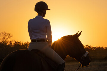 Horse Equestrian hunter jumper riding portrait tack English attire  silhouette sunrise, sunset,...