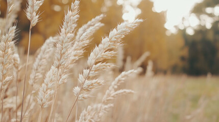 Fototapeta premium Delicate fabric drapery background image