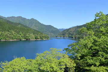 さめうら湖　新緑彩る　（高知県　土佐町）