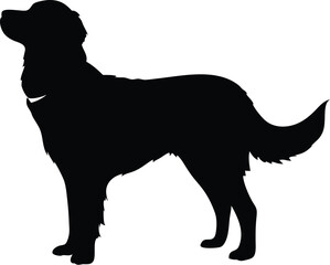 Retriever silhouette, Line art vector illustration of a Golden Retriever with a soft wavy coat and standing happily