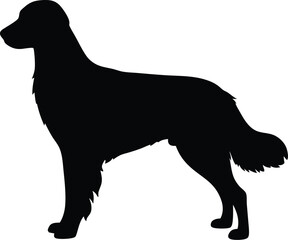 Retriever silhouette, Line art vector illustration of a Golden Retriever with a soft wavy coat and standing happily