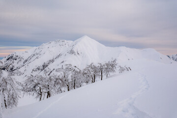 冬山の風景
