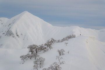 冬山の風景
