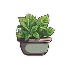 Vector illustration of a green leafy houseplant in a pot, sticker style graphic for gardening, home decor, nature, and wellbeing concepts