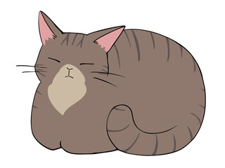 キジトラ ねこ 香箱座り