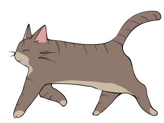 キジトラ ねこ 歩く