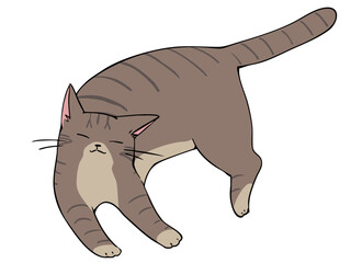 キジトラ ねこ リラックス