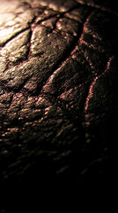 Close-up textured leather surface, dark background; ideal for design