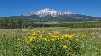 Majestic Mountain Peak Surrounded by Vibrant Wildflowers Landscape