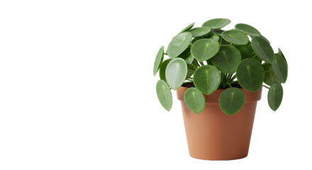 Bright red square shape, offering minimalist design and bold simplicity against a transparent background, perfect for modern art, abstract graphics, and color-focused design themes.