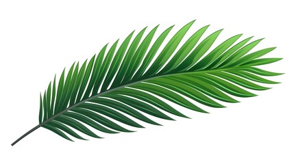 Naklejka premium Vector illustration of palm leaf foliage nature decoration icon for design projects