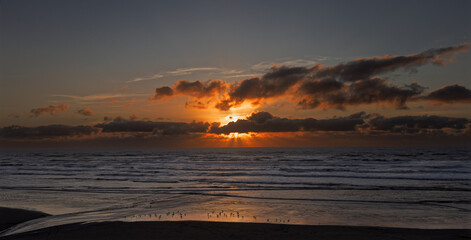 Sandpipers and Sunset in Yachats