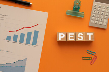 There is wood cube with the word PEST. It is an abbreviation for Politics, Economy, Society,...